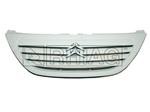 Griglia paraurti RHIAG GRC031CI